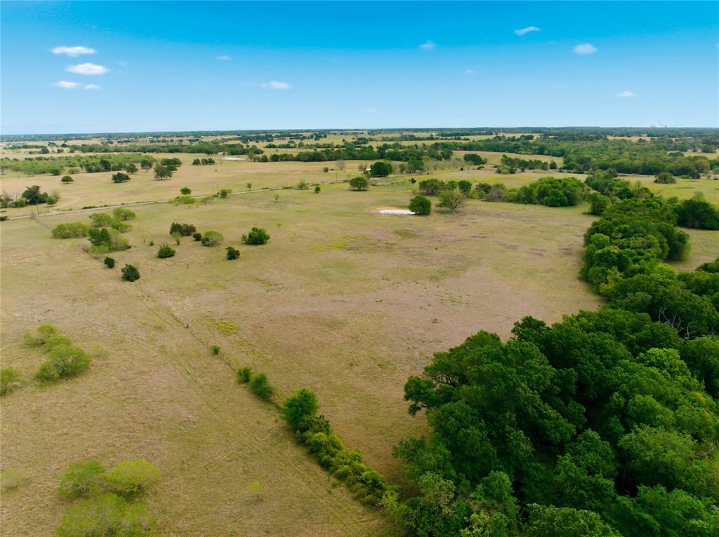 Tbd George Wachel Road Property Photo 15