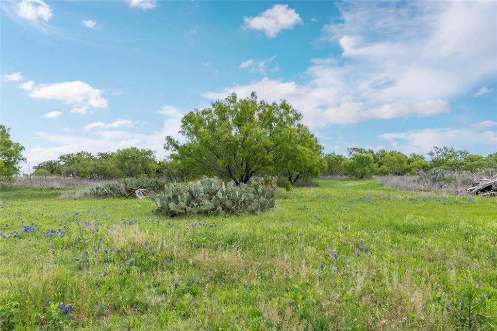 10150 Hwy 67 Property Photo 32
