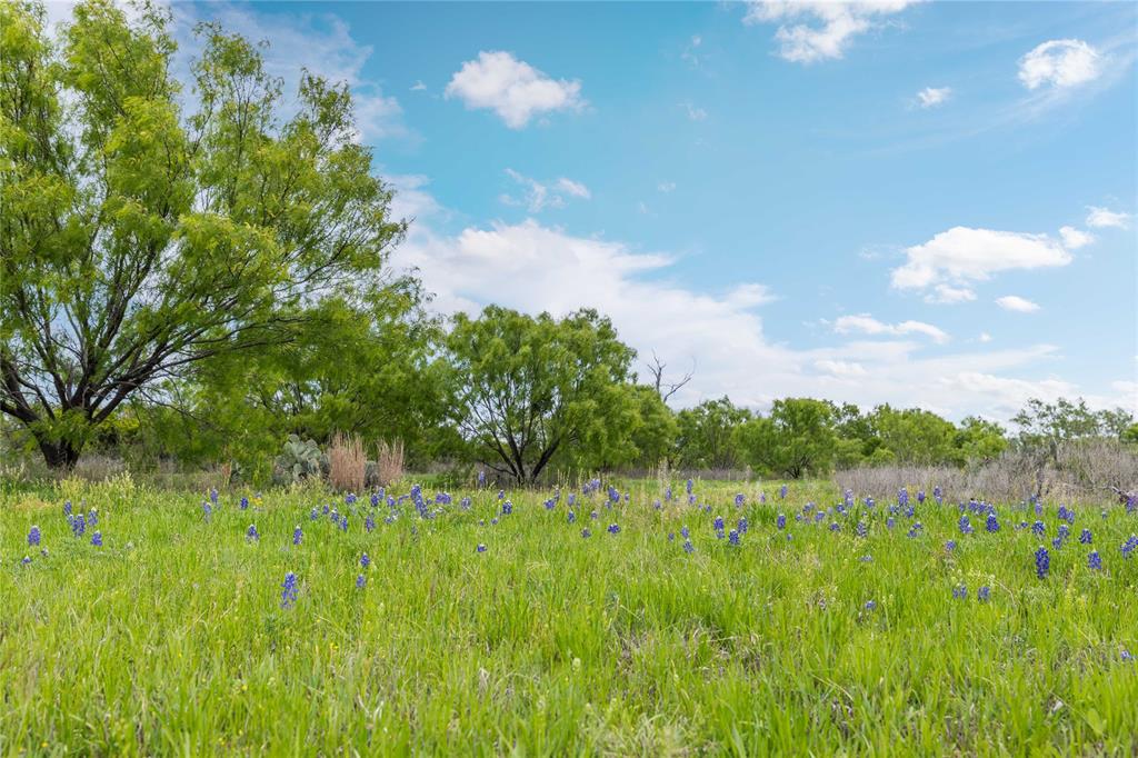 10150 Hwy 67 Property Photo 33