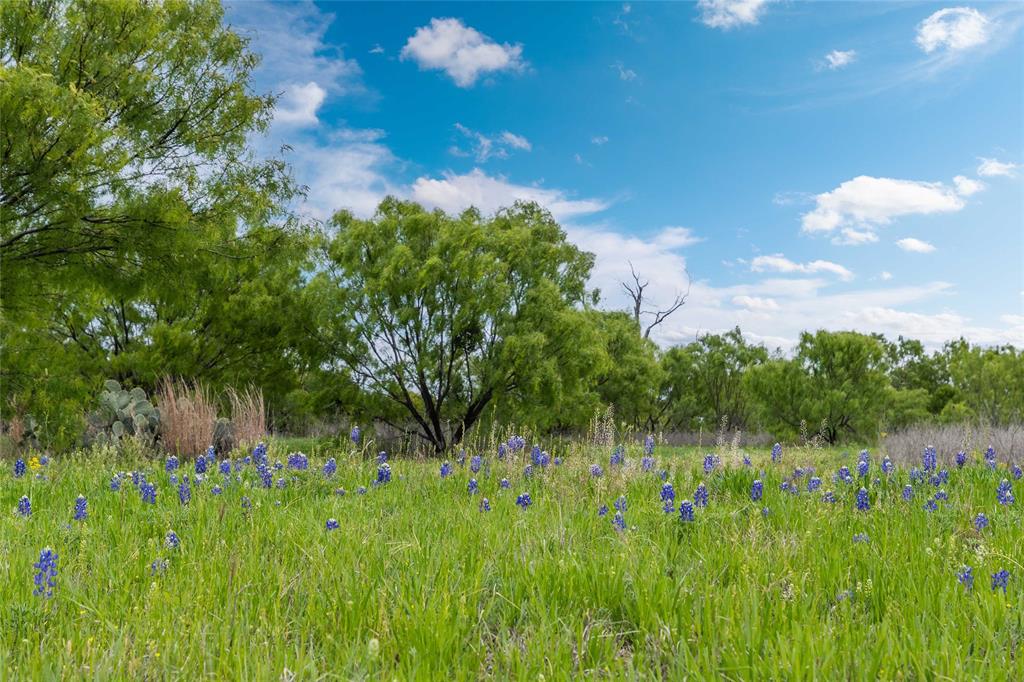 10150 Hwy 67 Property Photo 34