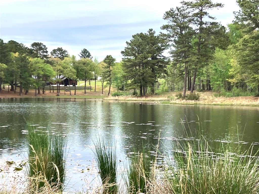 Lot 64 White Oak Creek Ranch Property Photo 1