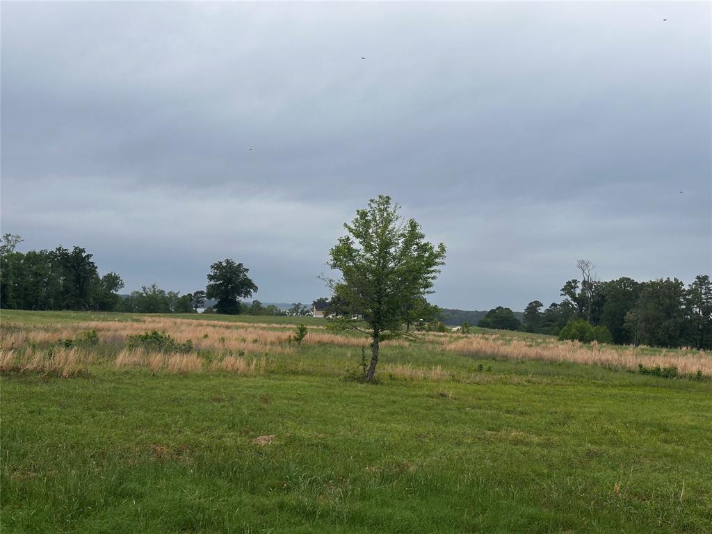 Tbd Sunrise Bend Property Photo 3