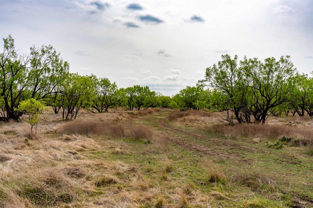 Tbd Rockdale Road Property Photo 11