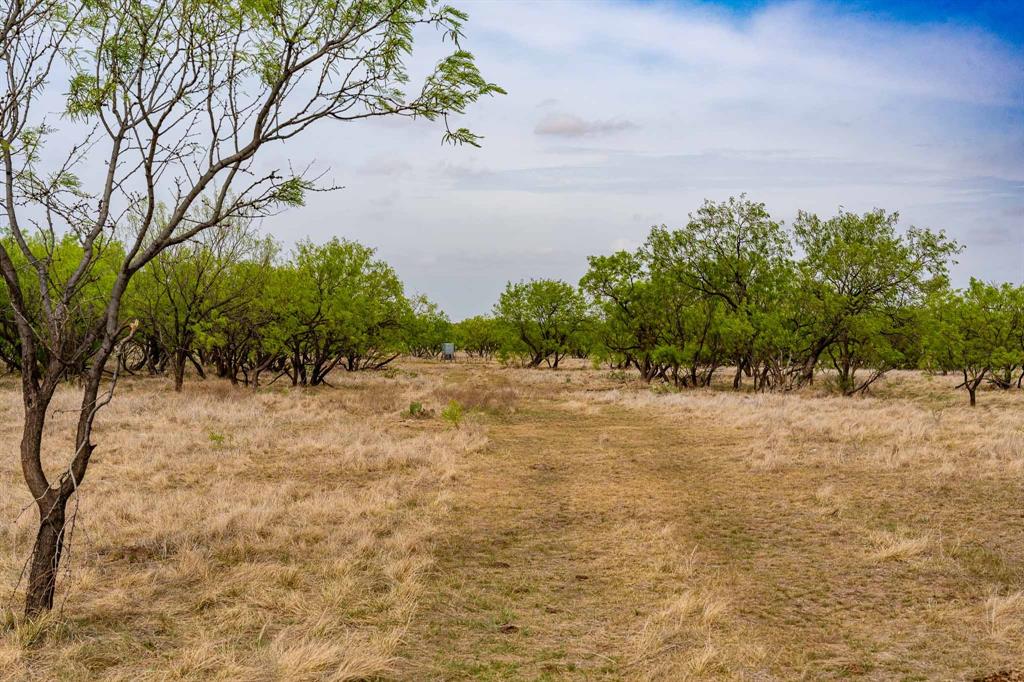 Tbd Rockdale Road Property Photo 17