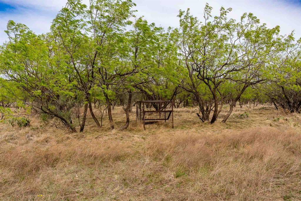 Tbd Rockdale Road Property Photo 18