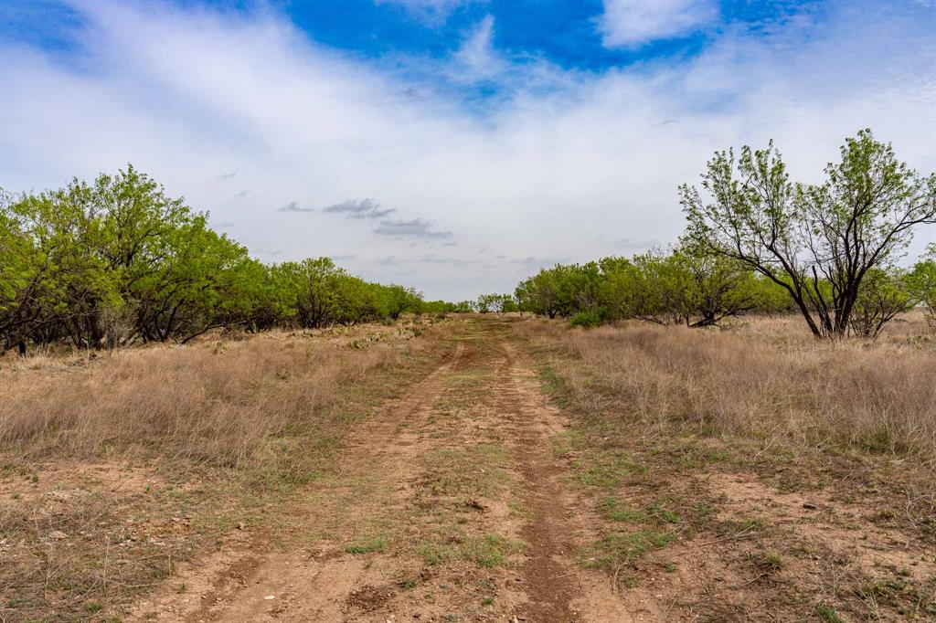 Tbd Rockdale Road Property Photo 19