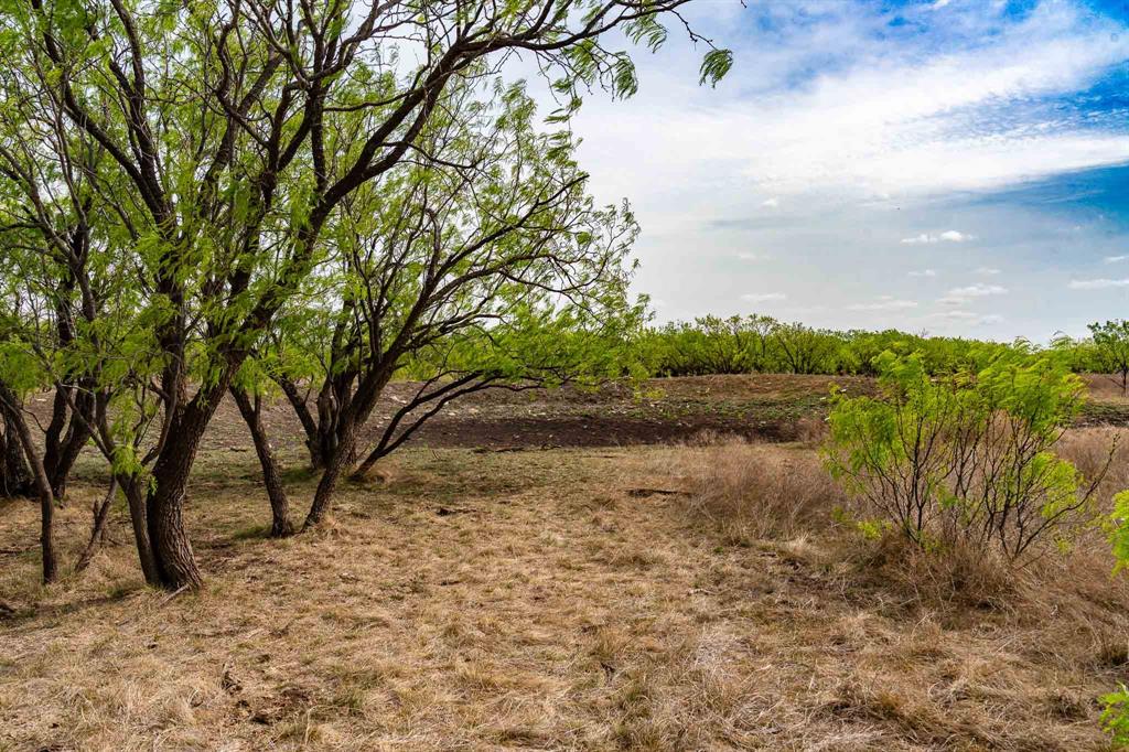 Tbd Rockdale Road Property Photo 25