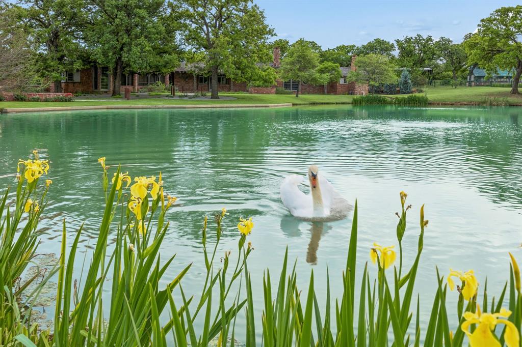 1 Paigebrooke Property Photo 37