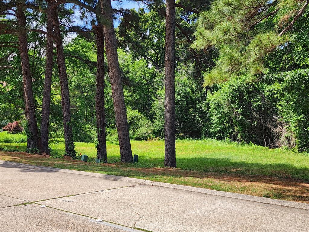 0 S. Lakeshore Property Photo 1