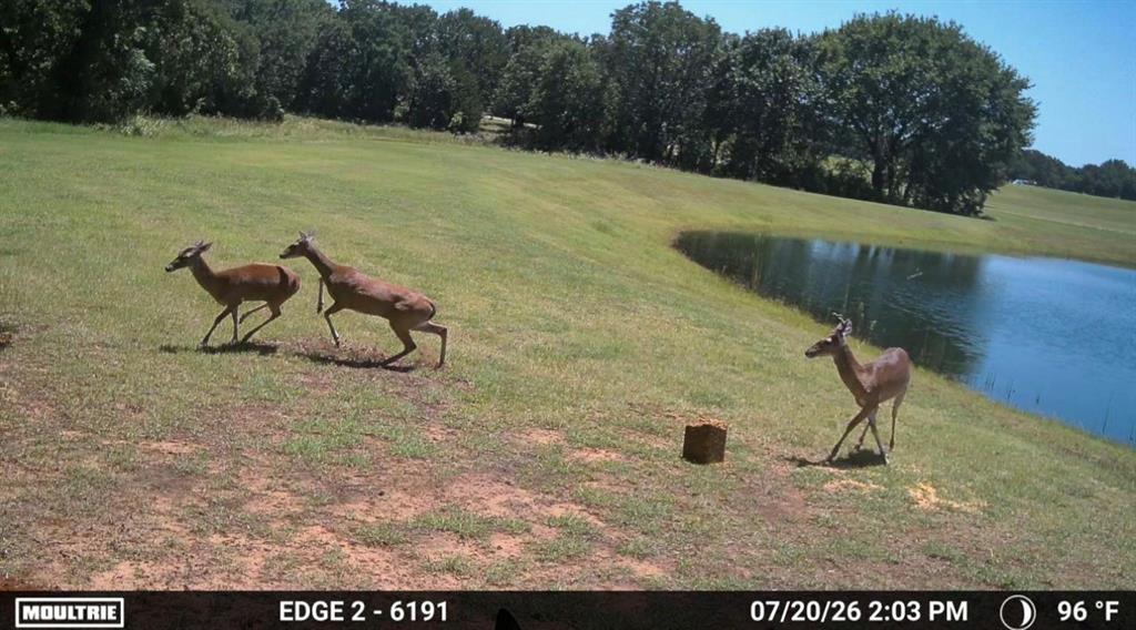 1561 Fm 934 Property Photo 33