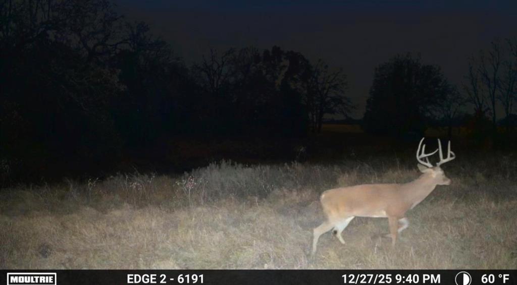 1561 Fm 934 Property Photo 34