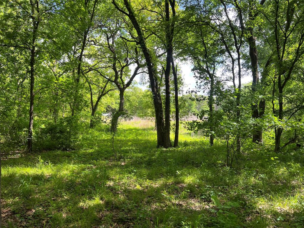 3024 Ida Lane Property Photo 1