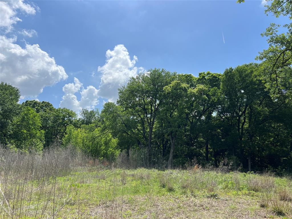 3024 Ida Lane Property Photo 3