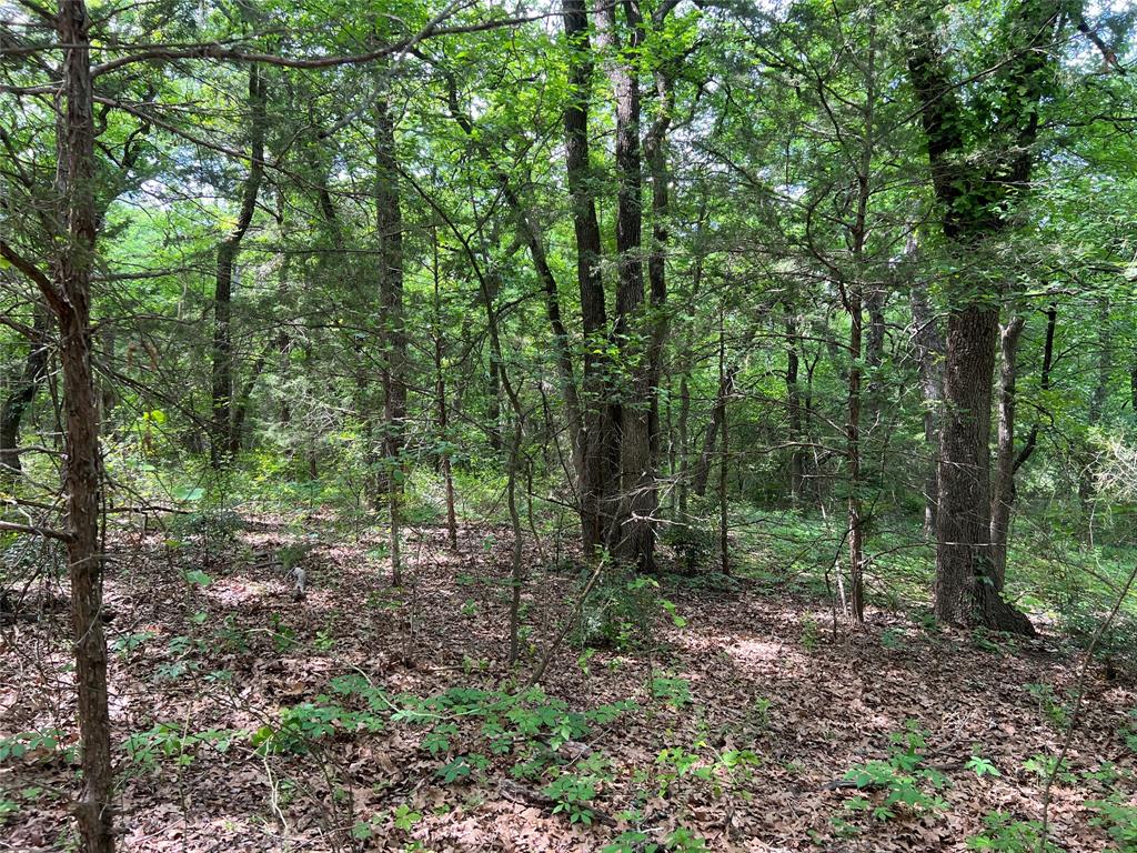 3024 Ida Lane Property Photo 4