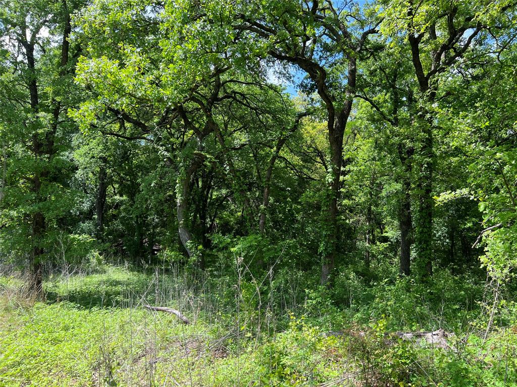 3024 Ida Lane Property Photo 6