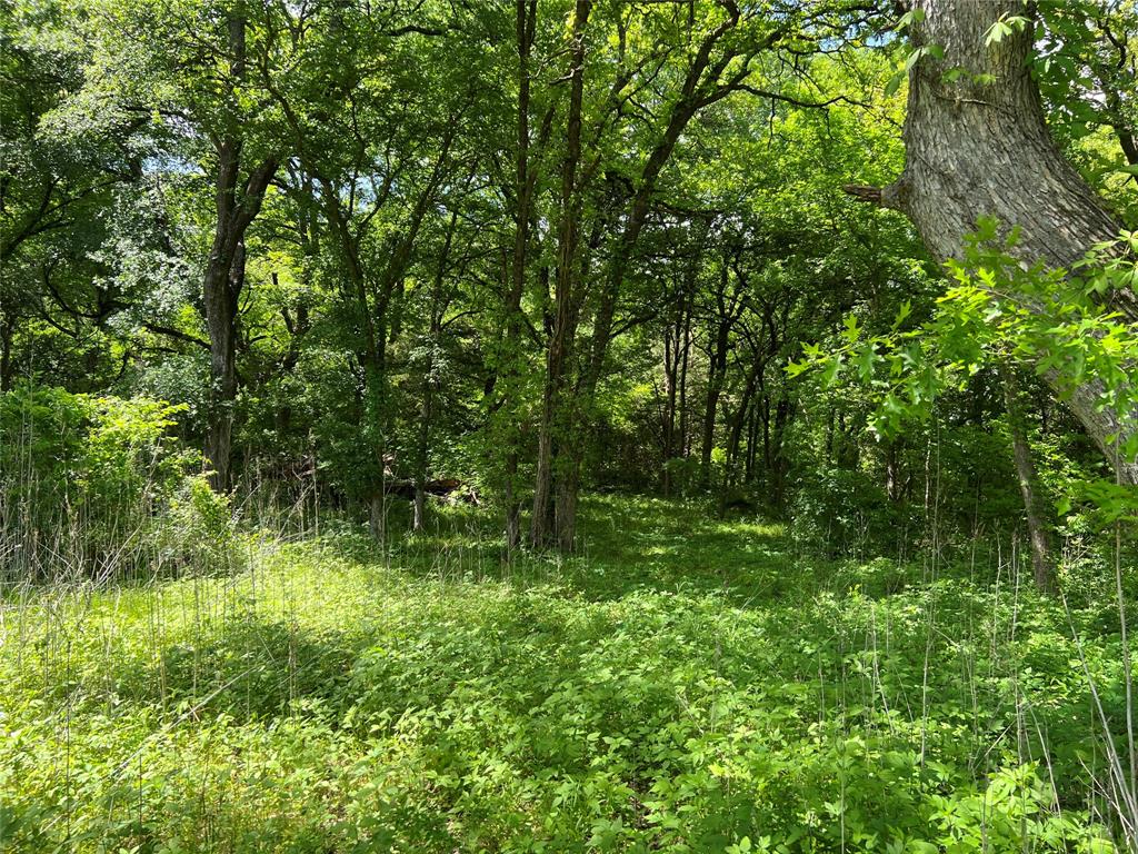 3024 Ida Lane Property Photo 8