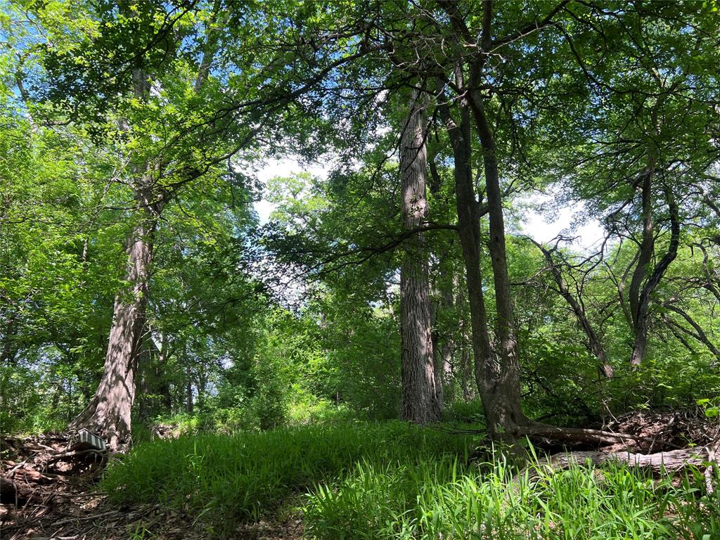 3024 Ida Lane Property Photo 11