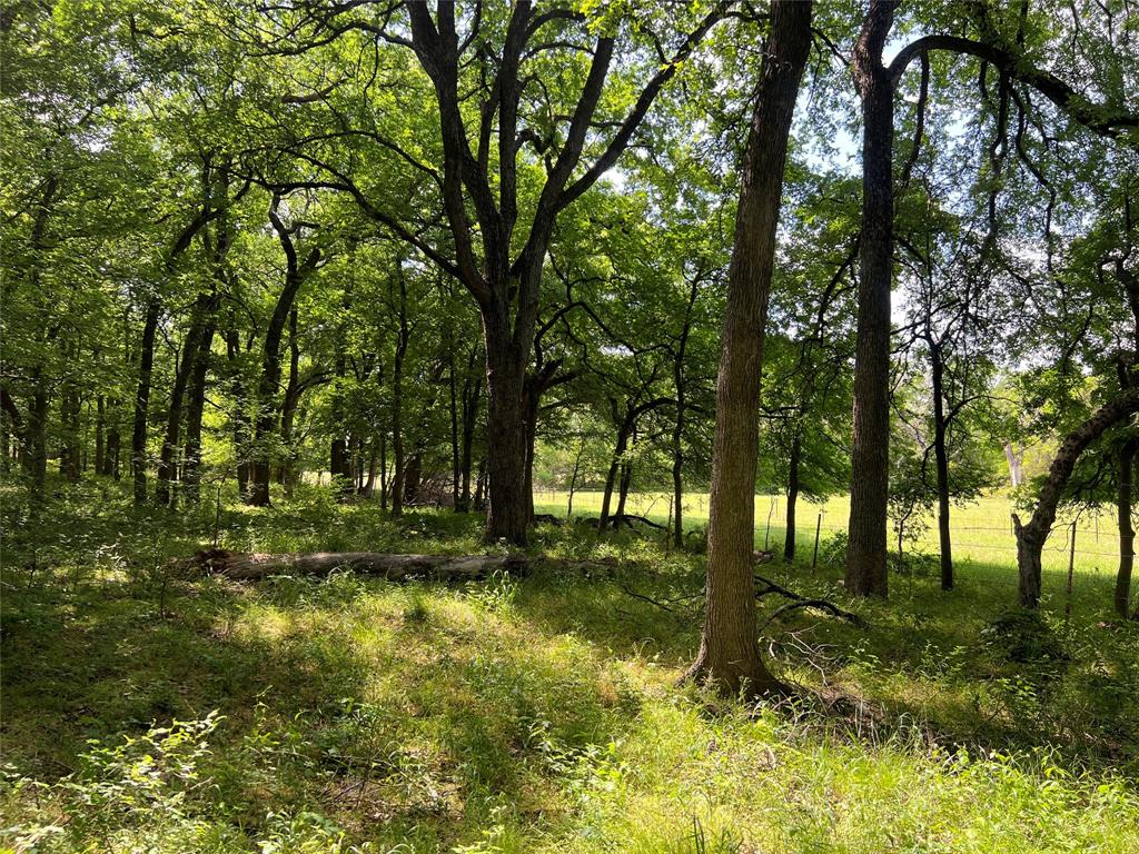 3024 Ida Lane Property Photo 12