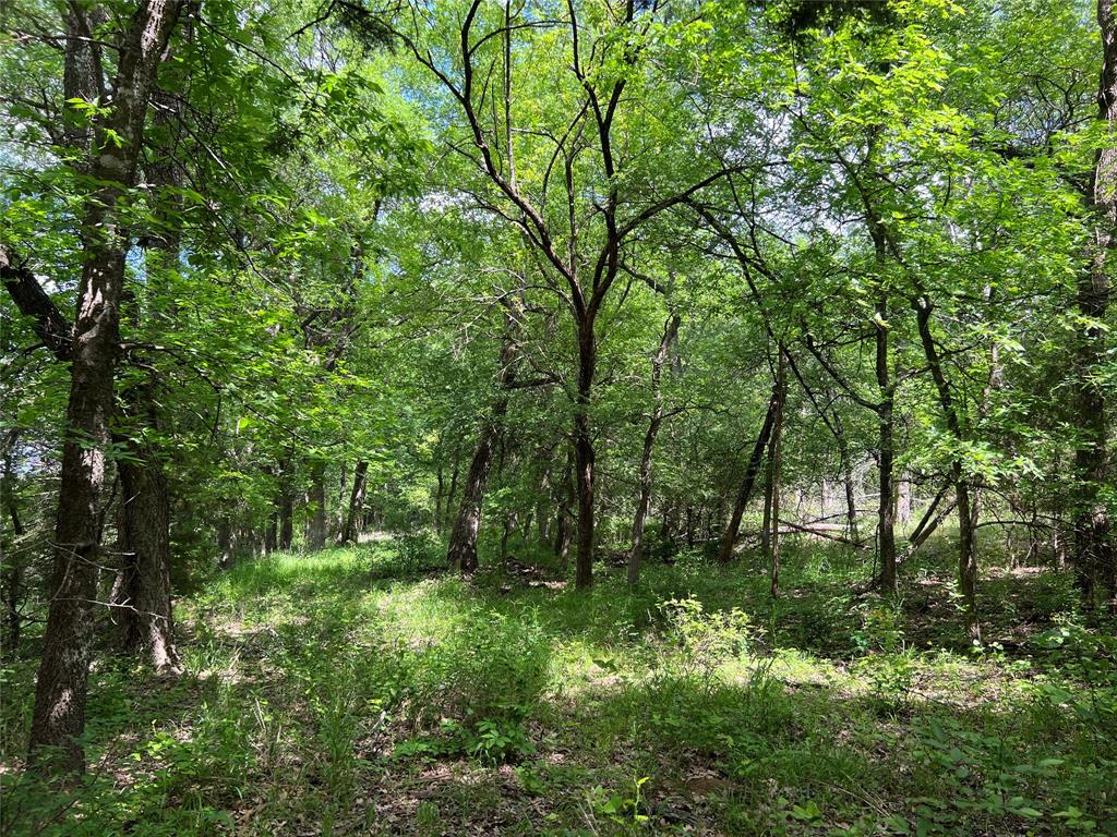 3024 Ida Lane Property Photo 13