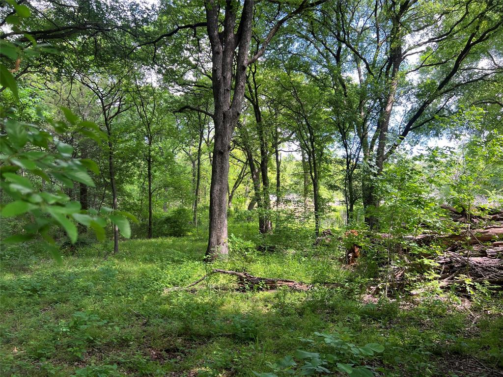 3024 Ida Lane Property Photo 15