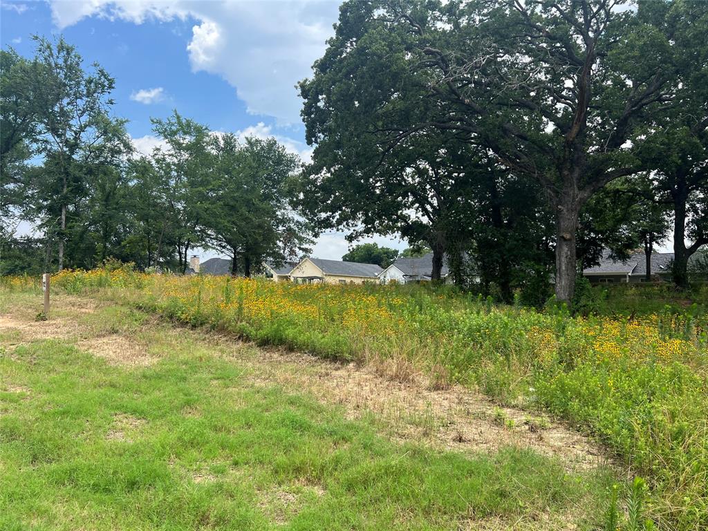 711 Clubview Drive Property Photo 6