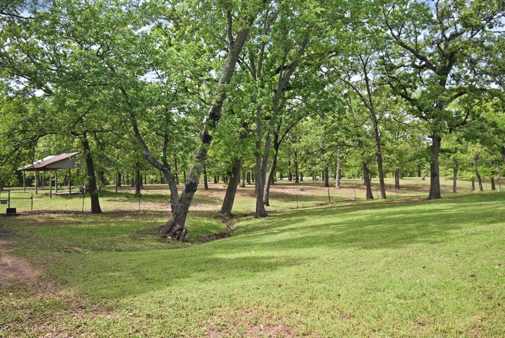 599 County Road 1260 Property Photo 5