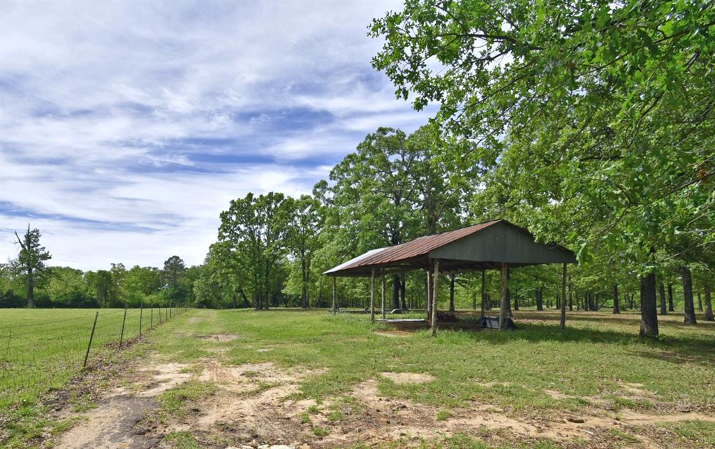 599 County Road 1260 Property Photo 6