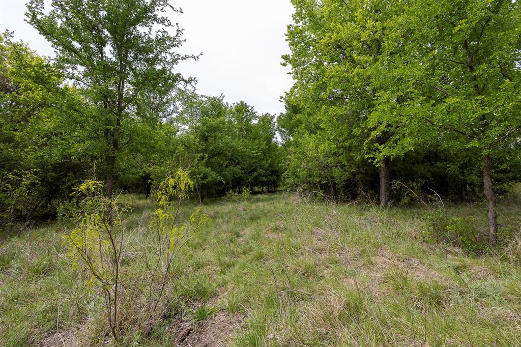 000 Mason Court Property Photo 7
