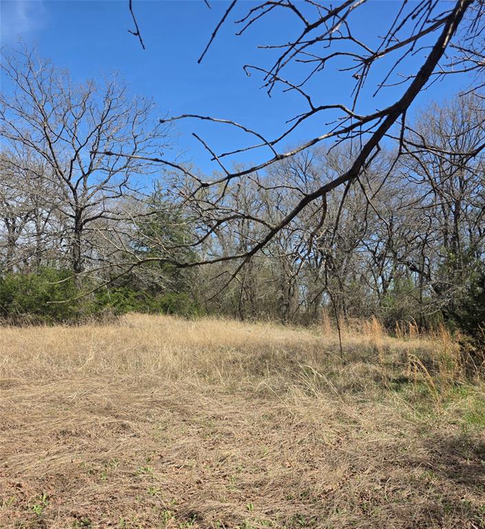 9319 U S Hwy 287 Property Photo 17