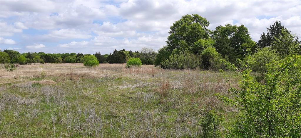 Tbd County Road 2644 Property Photo 6
