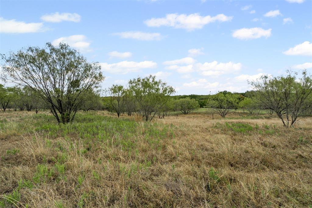 451 County Road 4975 Property Photo 10