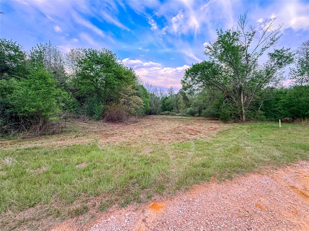 000 Fm 838 Property Photo 16