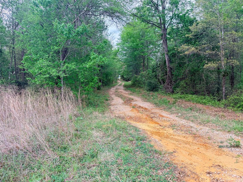 000 Fm 838 Property Photo 23