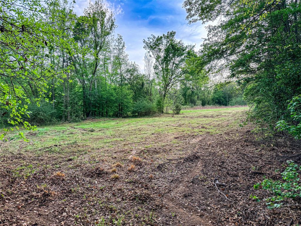 000 Fm 838 Property Photo 35