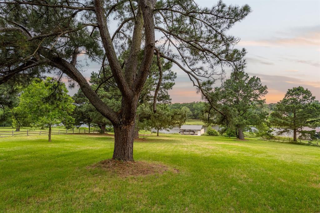 5327 Dusty Road Property Photo 10