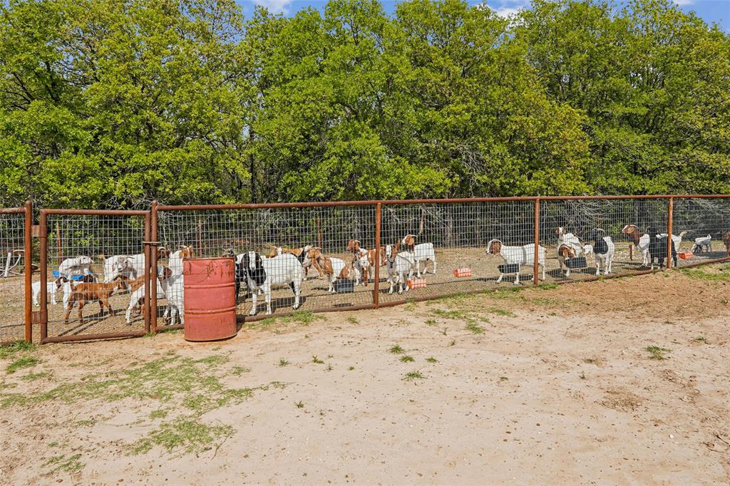 1406 N Johnson Loop Property Photo 26