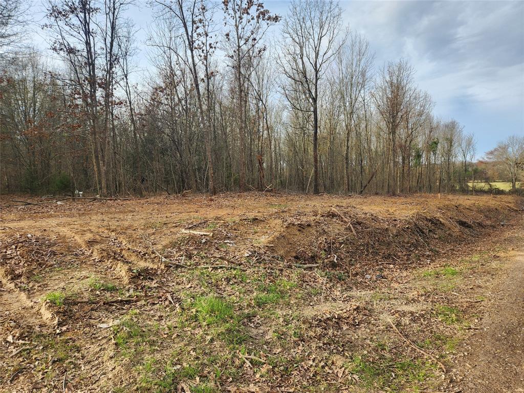 Lot 5 Cr 2310 Property Photo 1