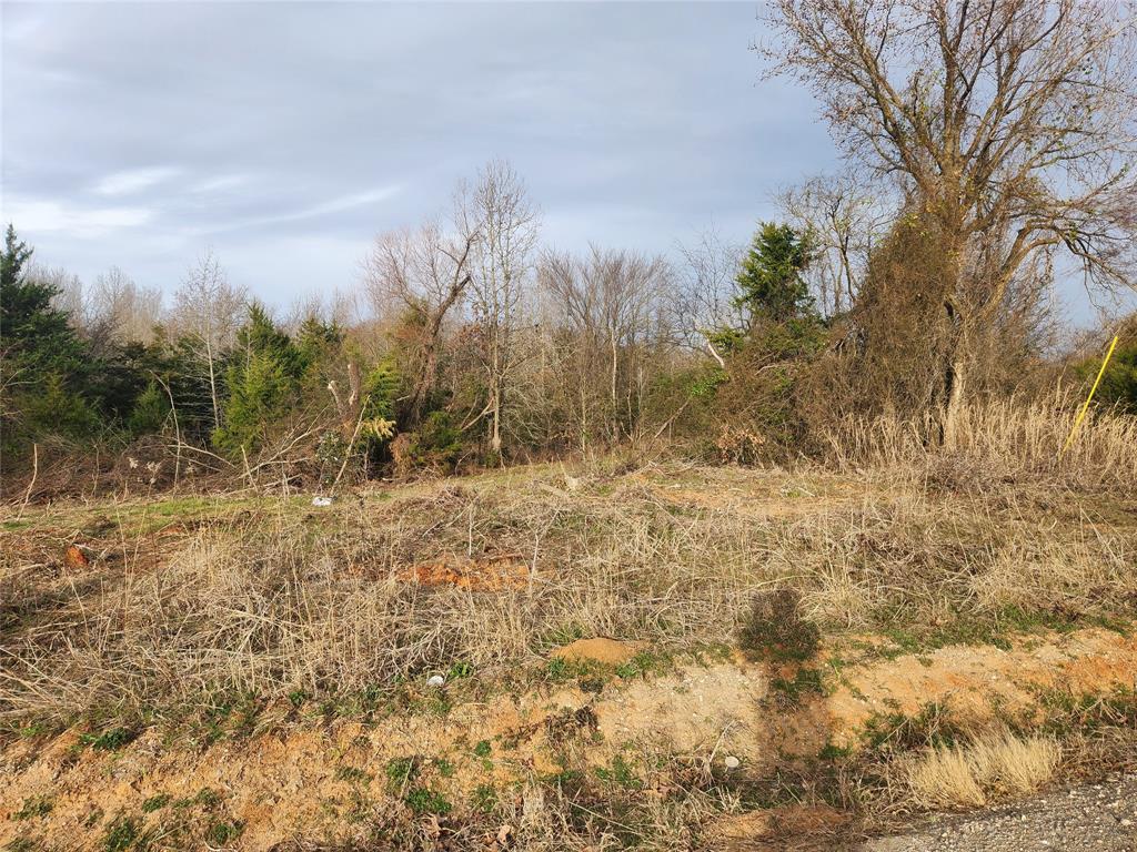 Lot 6 Cr 2341 Property Photo 1
