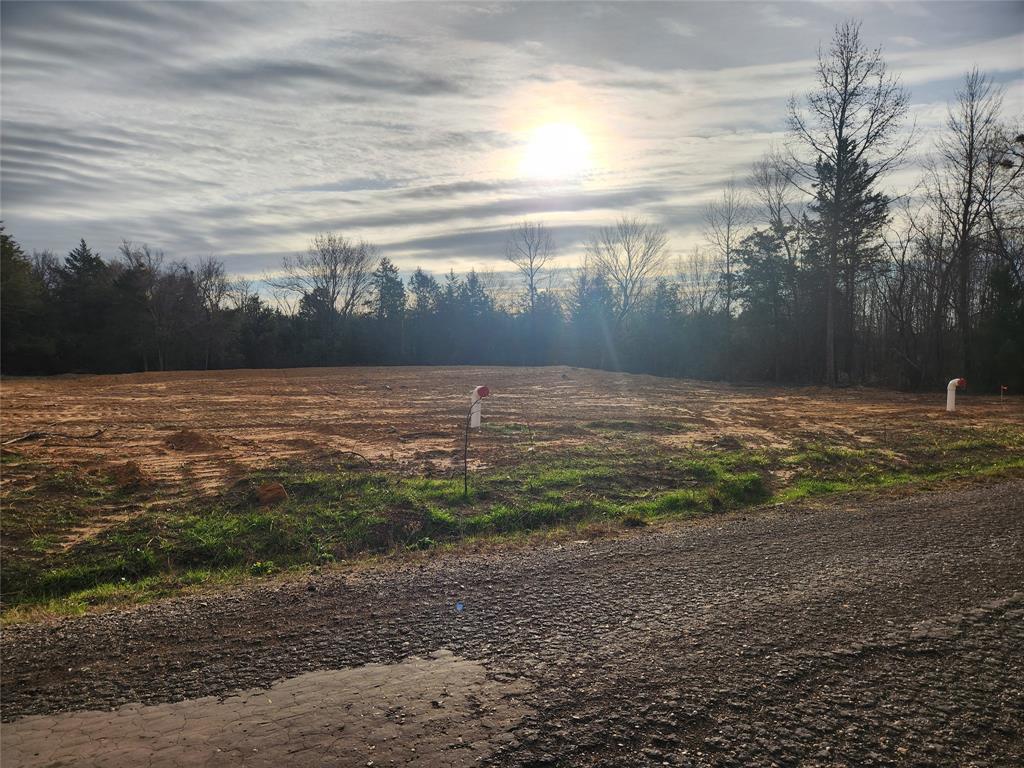 Lot 11 Cr 2341 Property Photo 1