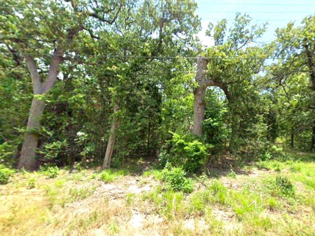 0 Goliad Drive Property Photo 1