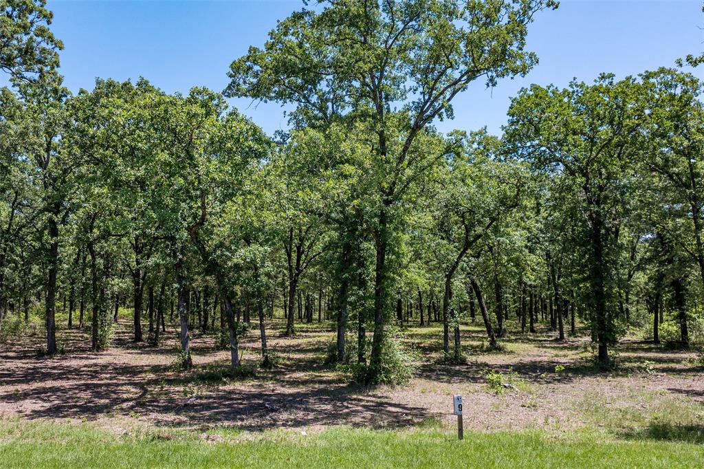 6936 Lakeshore Way Property Photo 7