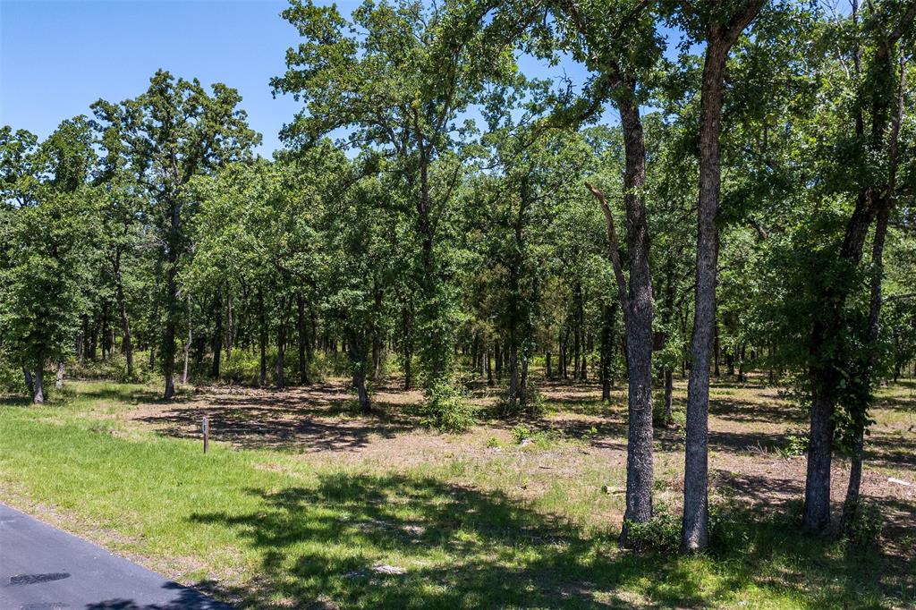 6936 Lakeshore Way Property Photo 8