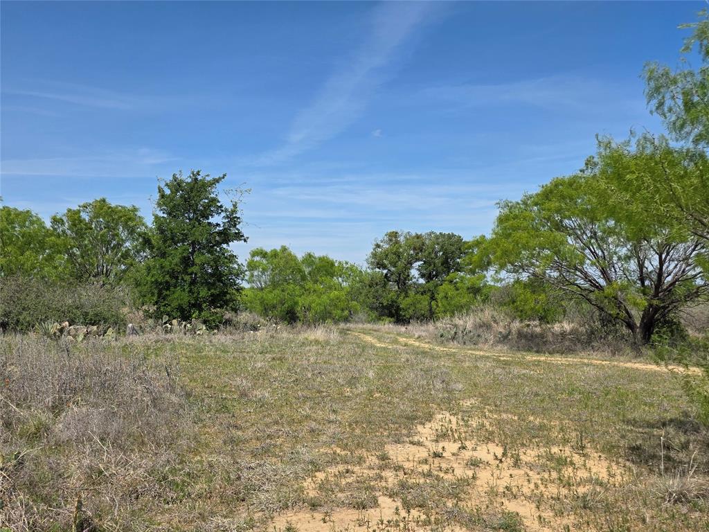 3925 County Road 216 Property Photo 26
