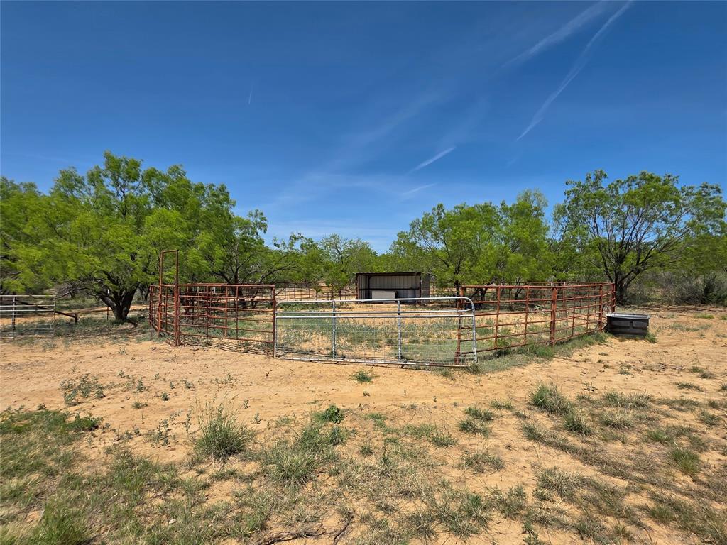 3925 County Road 216 Property Photo 34