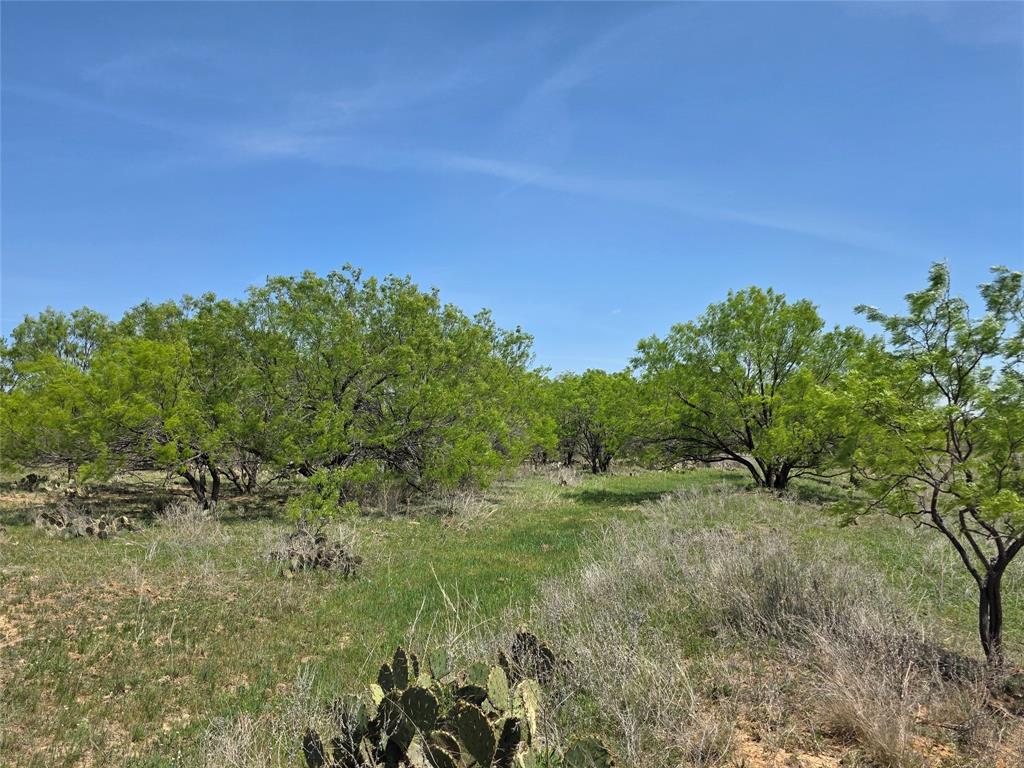 3925 County Road 216 Property Photo 35