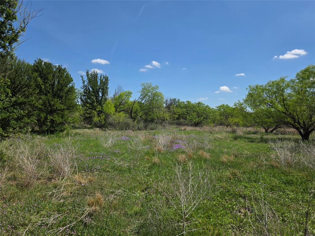 3925 County Road 216 Property Photo 40