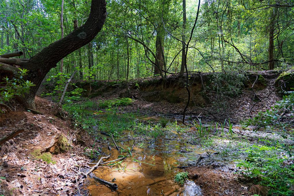 2029 W State Highway 294 Property Photo 6