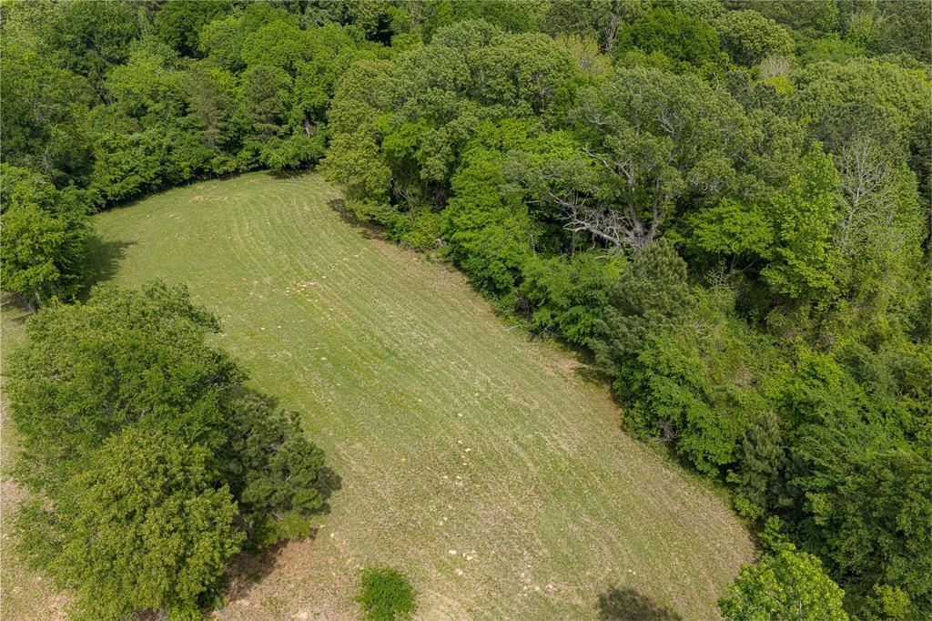 2029 W State Highway 294 Property Photo 29