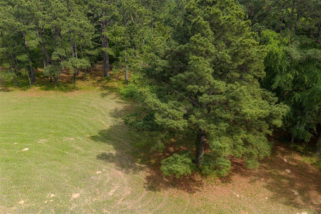 2029 W State Highway 294 Property Photo 32