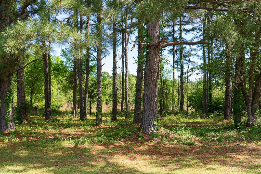 2029 W State Highway 294 Property Photo 34